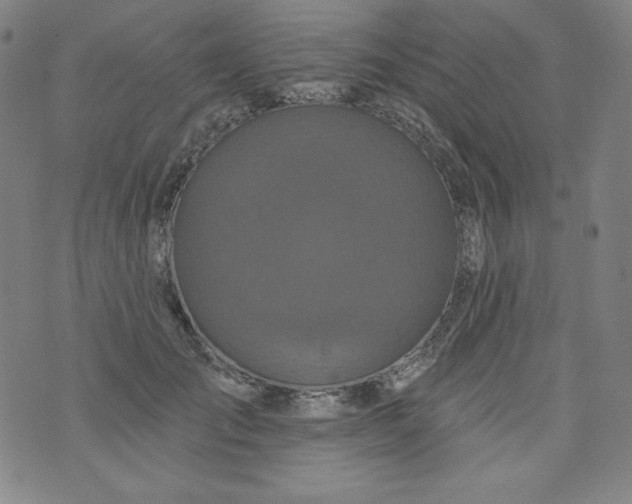 X0000074280701200609151852