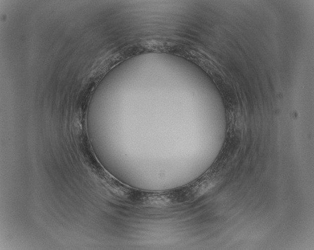 X0000074280702200609151852