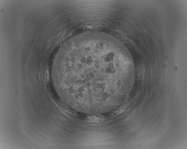 X0000074280703200609151852