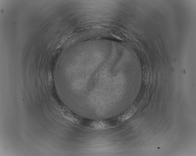 X0000074280704200609151852