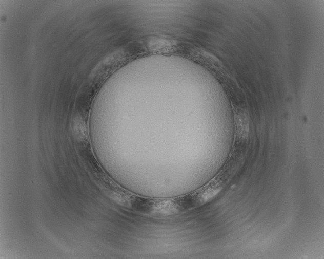 X0000074280705200609151852