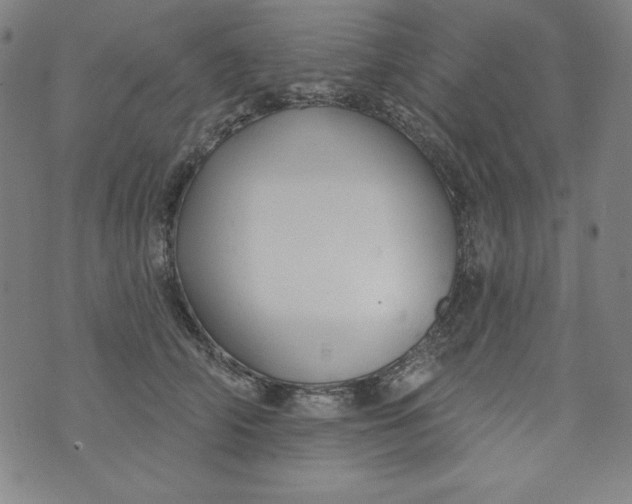 X0000074280706200609151852