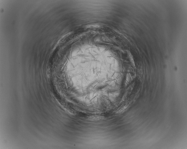 X0000074280708200609151852