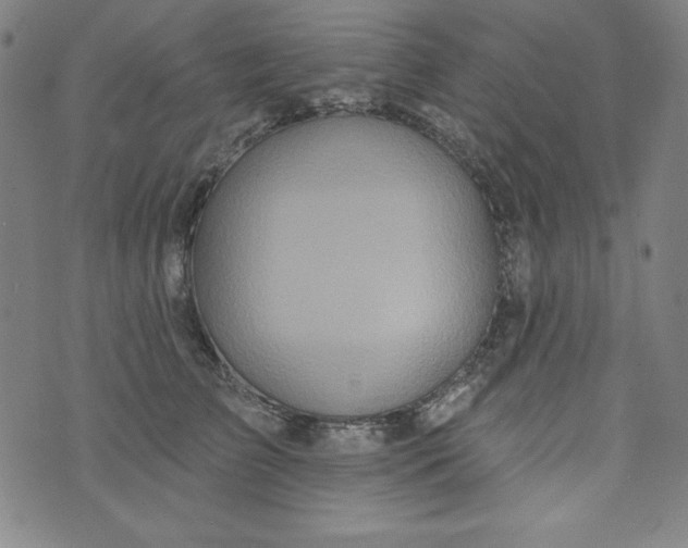 X0000074280709200609151852