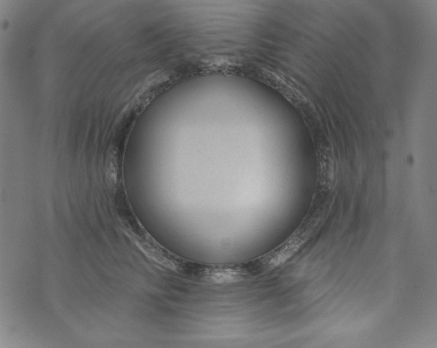 X0000074280710200609151852