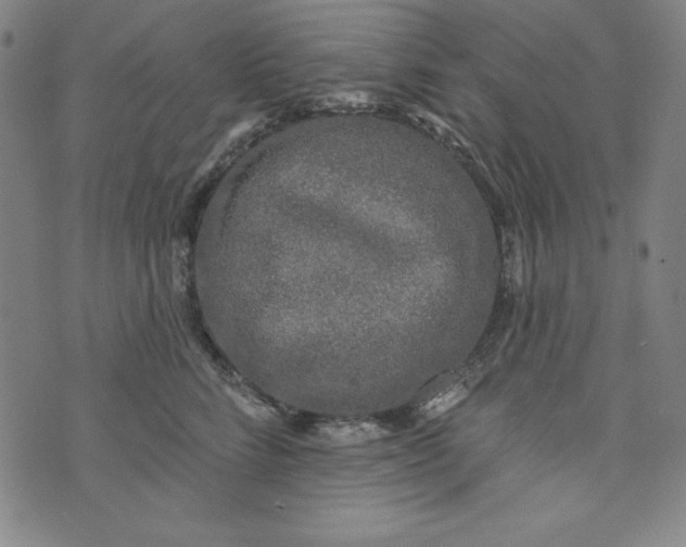 X0000074280712200609151852