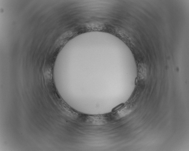 X0000074280713200609151852