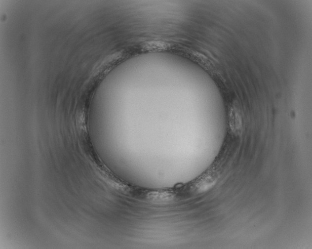 X0000074280714200609151852