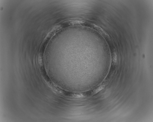 X0000074280715200609151852