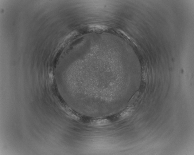 X0000074280716200609151852