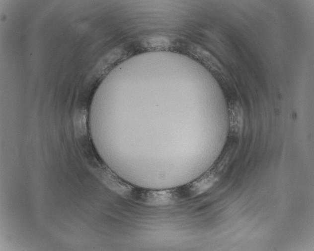 X0000074280717200609151852