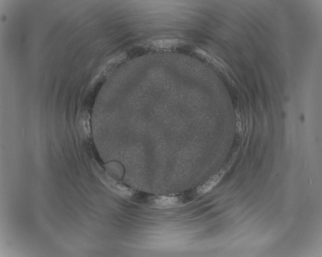 X0000074280718200609151852