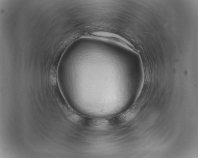 X0000074280719200609151852