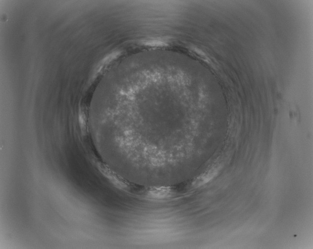 X0000074280720200609151852