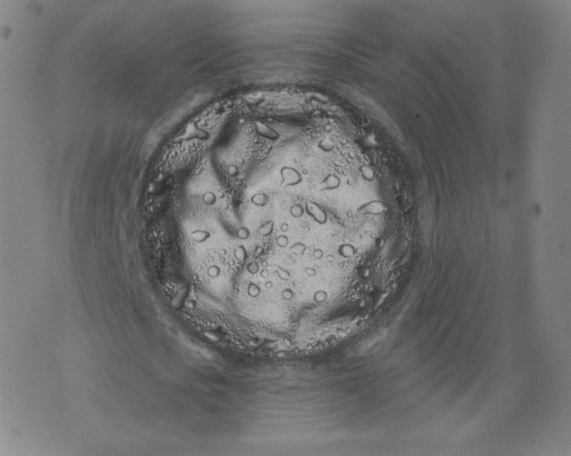 X0000074280721200609151851