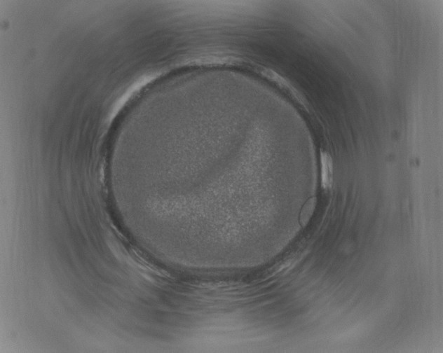 X0000074280723200609151851