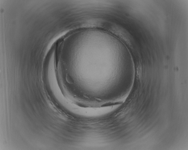 X0000074280724200609151851