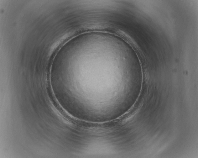 X0000074280725200609151851