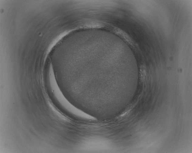 X0000074280726200609151851