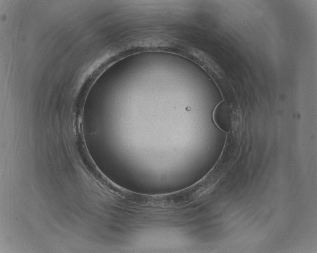 X0000074280727200609151851