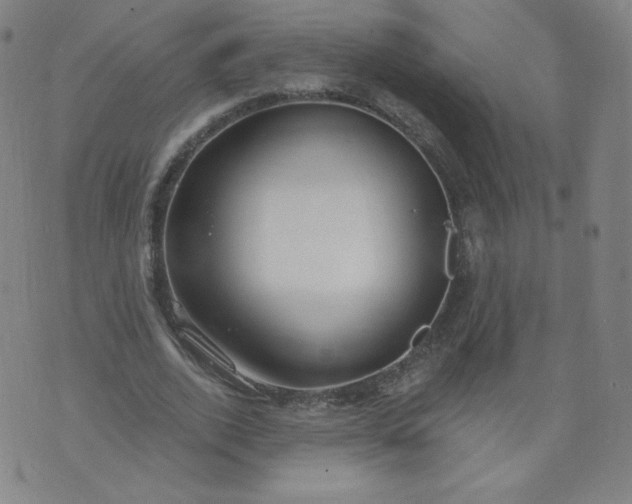 X0000074280728200609151851