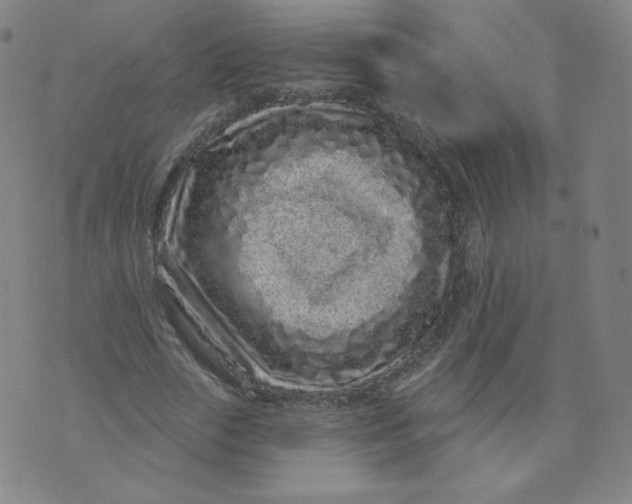 X0000074280729200609151851