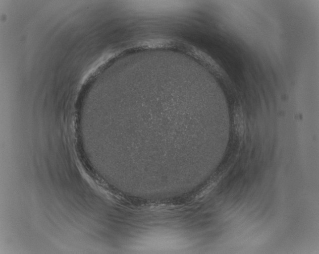 X0000074280730200609151851