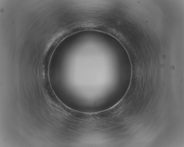 X0000074280731200609151851