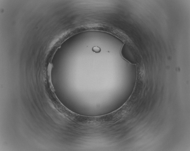 X0000074280732200609151851