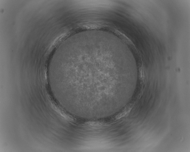 X0000074280733200609151851