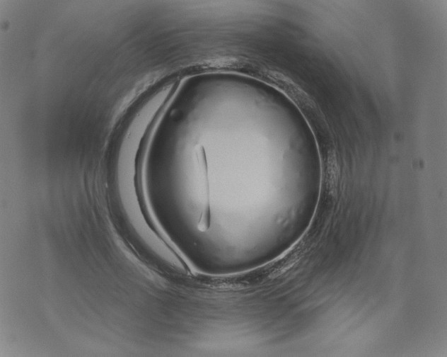 X0000074280734200609151851