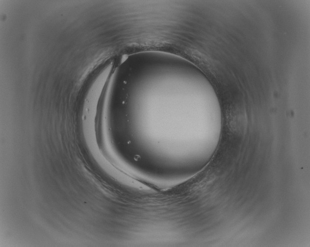 X0000074280735200609151851