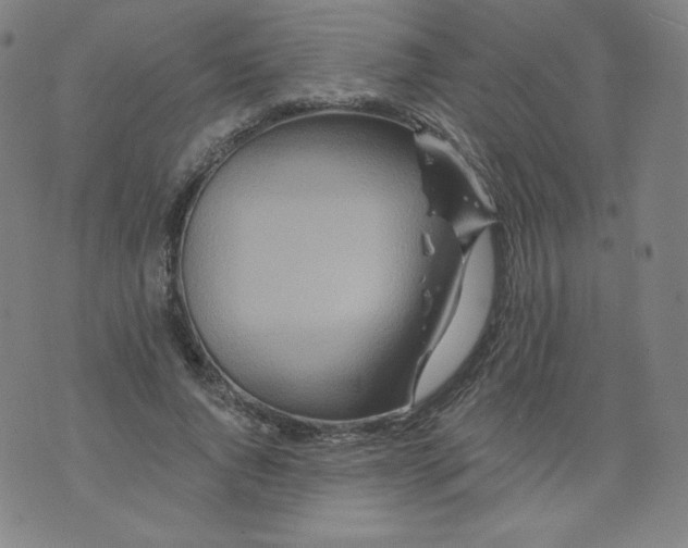 X0000074280736200609151851