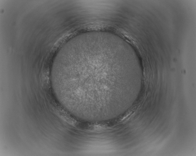 X0000074280737200609151851