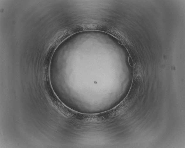 X0000074280738200609151851