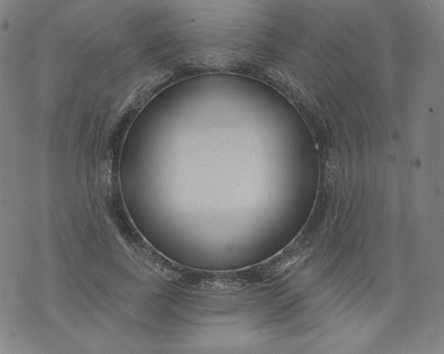 X0000074280739200609151851