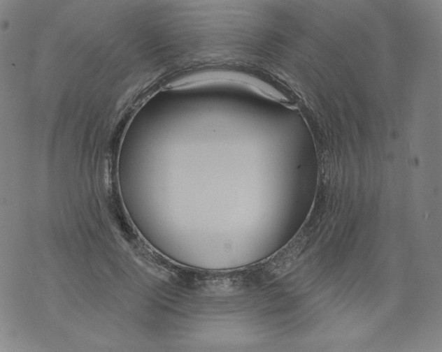 X0000074280740200609151851