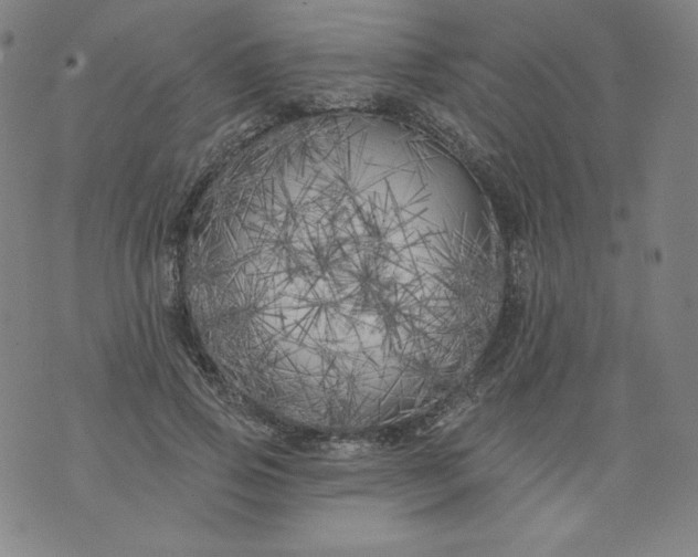 X0000074280741200609151851