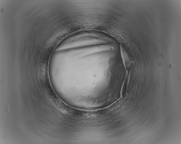 X0000074280742200609151851