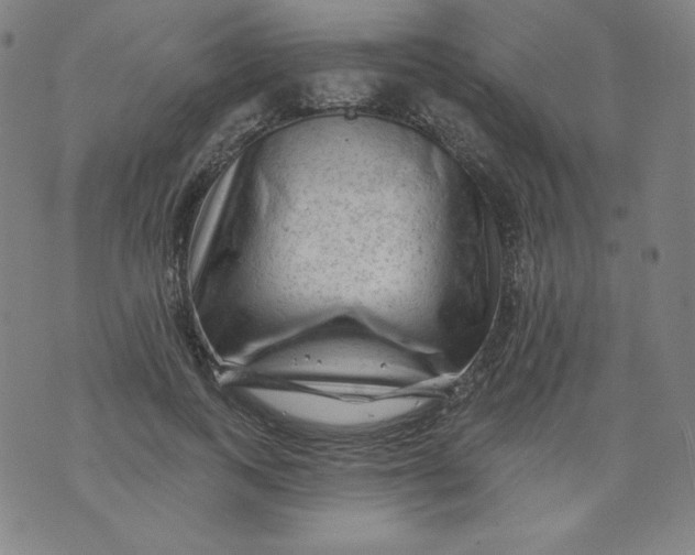 X0000074280743200609151851