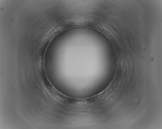 X0000074280744200609151851