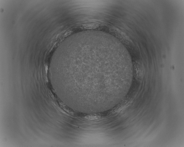 X0000074280745200609151851