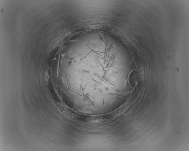 X0000074280746200609151851