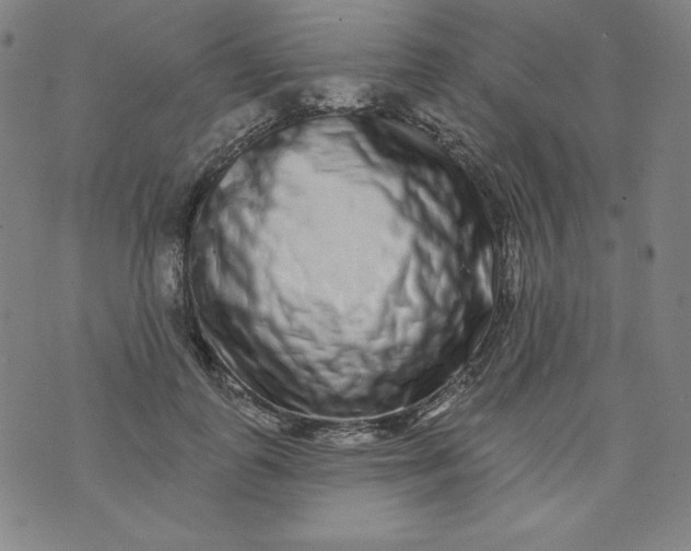 X0000074280747200609151851