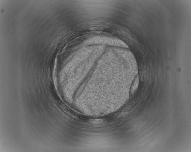 X0000074280748200609151851