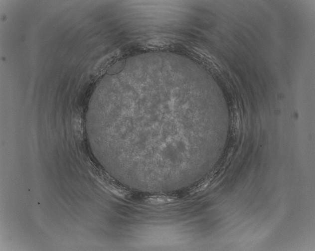 X0000074280749200609151851