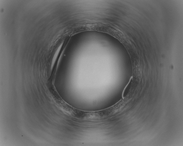 X0000074280750200609151851