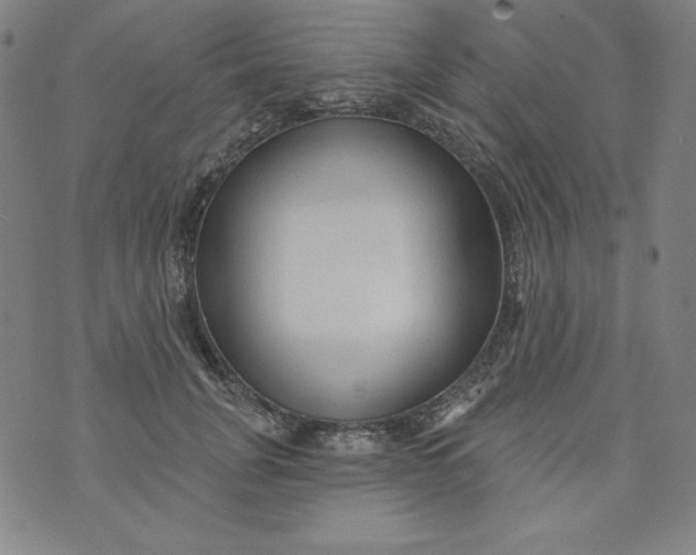 X0000074280751200609151851