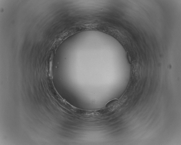 X0000074280752200609151851