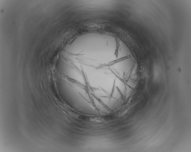 X0000074280753200609151851